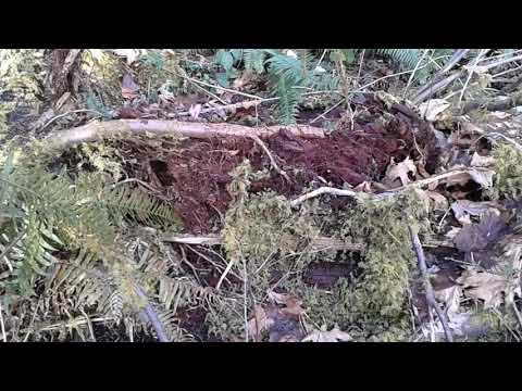 End of the trail vid....    2 of 2