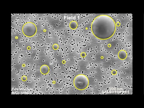 Hands-on Activity Demonstration: Particle Size from Microscopy Images