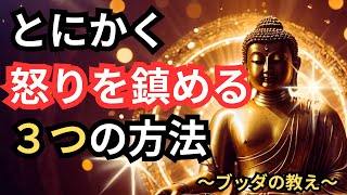 【ブッダの教え】とにかく怒りを鎮める３つの方法