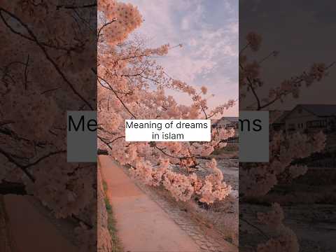 Meaning of dreams in islam✨🕋