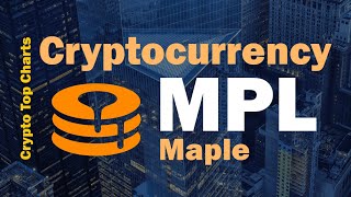 All you need to know about Maple (MPL), in 2-min
