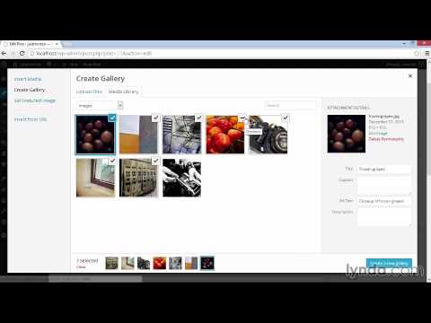 07   Adding an image gallery