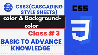 How to Use CSS Color & Background Color Inline|Learn CSS3: Color & Background Color for Beginners