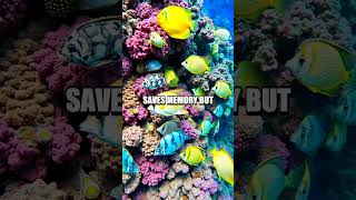 Master Python's `set` for Unique Data Handling!