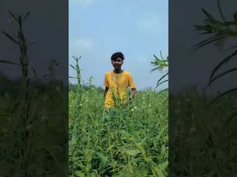 আমাকে তুমি ভালবাসনি | amake tumi Valo bashoni | cover by anower fokir