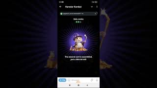 Today combo card update! Hamster Kombat 🐹#hamsterkombat #crypto #trading
