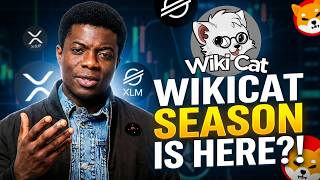 🔥 Wikicat Season is HERE?! Week 8 Crypto Forecast | XRP, XLM, LUNC, Shiba Inu Prophetic Insights!