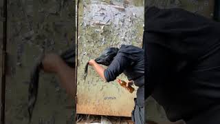 Rajavin parvai Raniin pakkam #viral #trending #reaction #beer #hairwash #black #youtube #instareels
