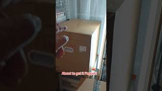 My 3D Printer Journey #3Dprinter #sunlu #creality #diy #blender #artstudio #diorama #fabrication