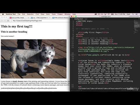 Complete Free Web Development Course : HTML Attributes