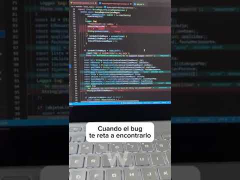 Cuando el bug te reta a encontrarlo
