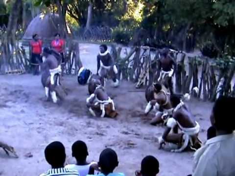 Zulu Dancers Dancing, Singing, and BANGING!