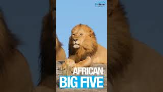 South Africa | Fortune Tours | Iconic Landmarks and Breathtaking Landscapes #fortunetours