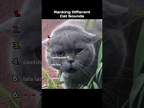 Ranking Different Cat Sounds