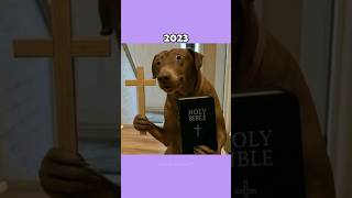Where Are The Famous Dog Memes Now?💔 (ThenVsNow) #shorts
