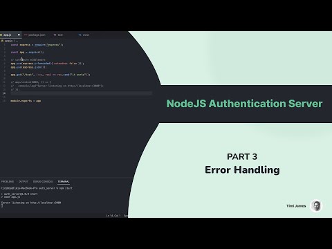 NodeJS Authentication Api Server — Error Handling (Part 3)