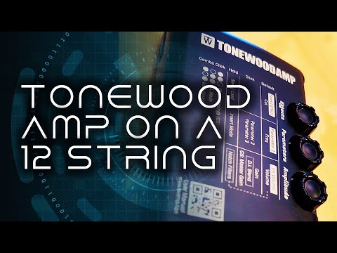 Give Your 12 String Acoustic Guitar a Tonewood Amp to Unleash Magic!