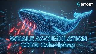 Bitcoin Bear Market is Different—Cold Storage Reveals Why #Bitget Sign Up Bonus