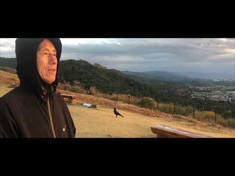 vlog#20.01 或许是最美好的奈良？/ The best of Nara / 最高の奈良