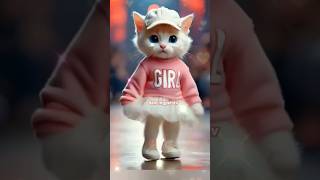 Cute cat dance video!😍🎀🩰#tuzelitydance #cat #dancevideo #tuzelity#catvideos #catlover