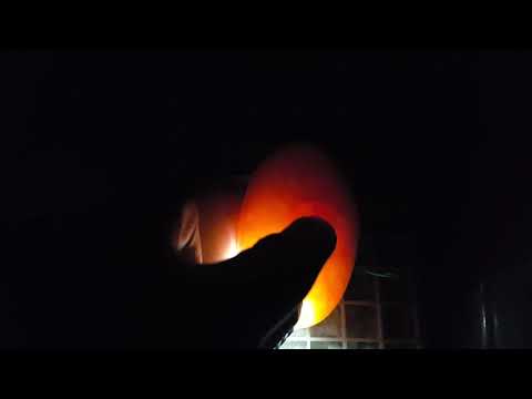 Candling snake eggs