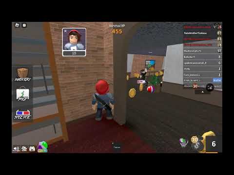 playing with bestie