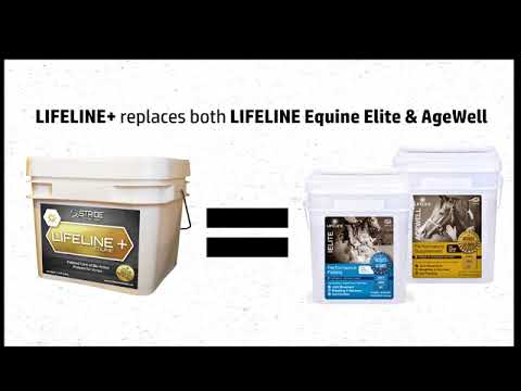Transitioning from LIFELINE to LIFELINE+