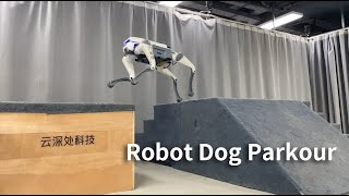 Let the robot dog parkour!  |“DEEPRobotics AI+” plan