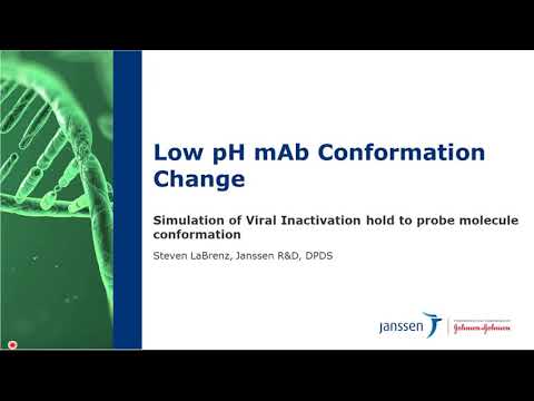 Conformation Change of a Monoclonal Antibody in Real Time, Mimicking Low pH Hold Viral Inactivation