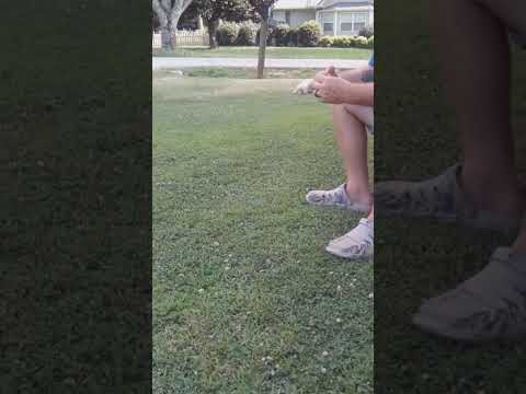 Vlogging Outside for some time! 😄