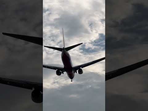 Air China phoenix painting B737 landing at ZSAM runway 23｜国航凤凰彩绘737 降落厦门高崎23号跑道