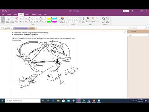 STP(Spanning Tree Protocol)