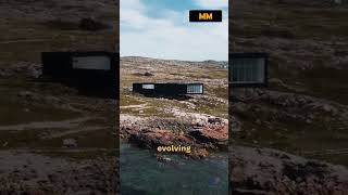 Embrace the Journey | Continuous Growth for a Stronger You #motivation #motivationalquotes