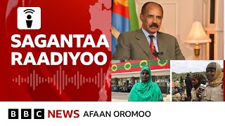 Pirezedant Isaayaas Afawarqii haasaa qondaala olaanaa Ertiraatti mufachuu |BBC News Afaan Oromoo
