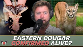 Eastern Cougar Found, Autralia's Heaviest Insect Discovered, and Bucket List Trips