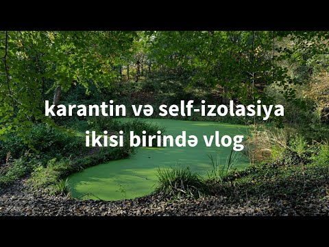 Self-izolasiyada 8 gün - İngiltərədə karantin günləri, meşəyə səyahət və tələbə həyatım