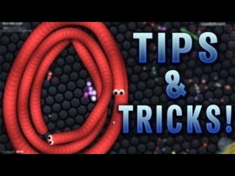 WormsZone. io || Kill the Snake