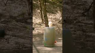 Could you SURVIVE a 50 Cal? #ShockingResults