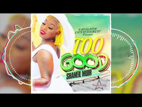 Shaneil Muir - Too Good (Official Audio)