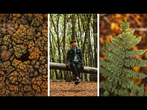 How To Tell BETTER Stories With Your Photos