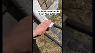This Is Why You Should Clean Your Gutters #Shorts
