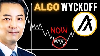 Algorand New SPRING After 6 Months? (ALGO) Wyckoff Price Prediction (Oct 31, 2025)