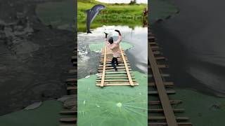 Crazy lotus 🪷🥰 Videography ideas 💡👀 #creative #shorts #videography #sort