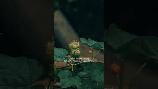 còn lại đêm nay... #dancatrutinh #fyu#nhachaymoingay