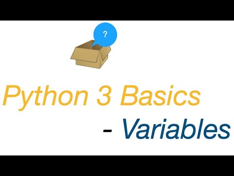 Python Basics: Variables in Python