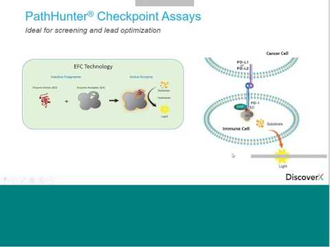 Immuno-Oncology Drug Development Profiling Immunomodulatory Biologics and Compounds