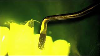 Bioclear™ Injection Moulding Process video