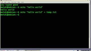 Learn Bash Scripts - Tutorial