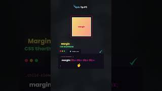 Tips #13: Master CSS Margin & Padding like a pro!📌🧙🏻‍♂️