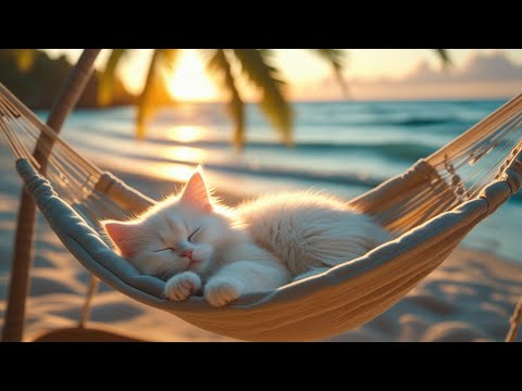Ocean Dreams Kitten Sleeping Peacefully to Calming Sea Waves 🌊🐾